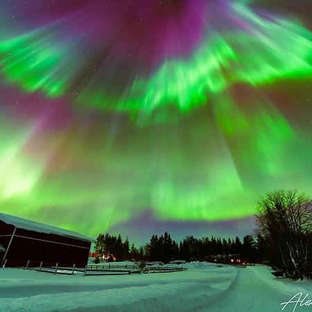 Вилла Harjuniemi Kangosjarvi Экстерьер фото